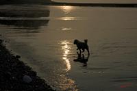 Cjp_2010_04_14_173255 (4).jpg